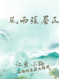 风雨张居正下载