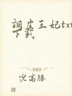 调皮王妃txt下载