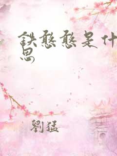 铁憨憨是什么意思