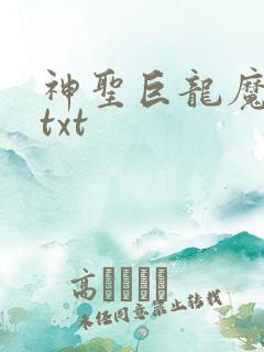 神圣巨龙魔法师txt