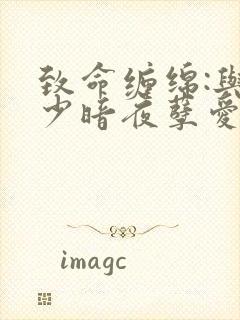 致命缠绵:与冷少暗夜孽爱