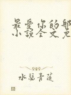 最爱你的那十年小说全文免费阅读