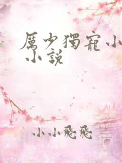 厉少独宠小娇妻 小说