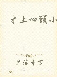才上心头小说