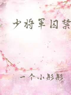 少将军囚禁我