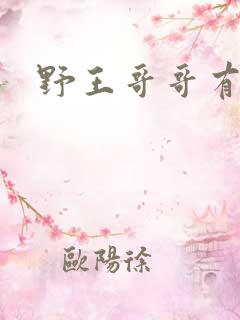 野王哥哥有点甜