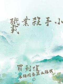 职业杀手小说下载