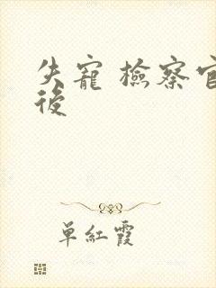 失宠 检察官皇后