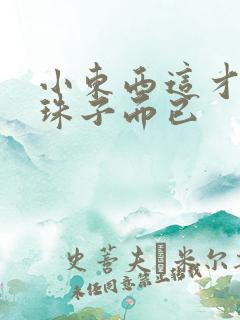 小东西这才一颗珠子而已