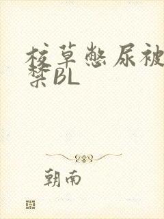 校草憋尿被揉失禁BL