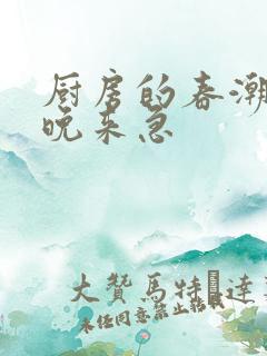 厨房的春潮带雨晚来急