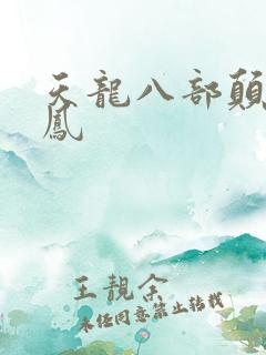 天龙八部颠龙鸾凤
