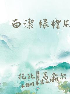 白洁 绿帽风云
