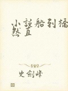 小说船到桥头自然直