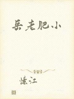 岳老肥小