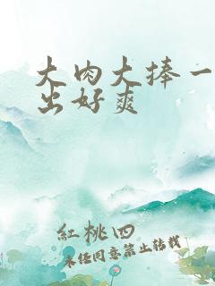 大肉大捧一进一出好爽