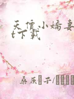 天价小娇妻txt下载