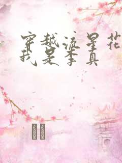 穿越流星花园之我是李真