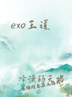 exo王道