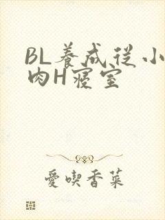 BL养成从小被肉H寝室