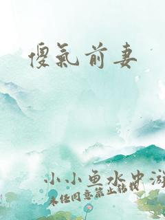 傻气前妻
