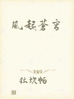 风起苍穹