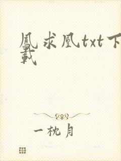 凤求凰txt下载