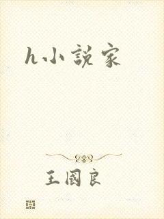 h小说家