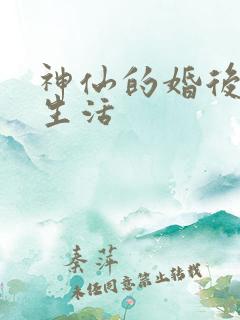 神仙的婚后都市生活