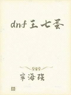 dnf王七蛋