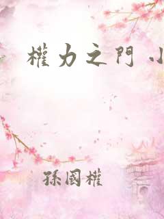 权力之门 小说