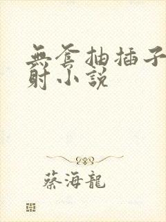 无套抽插子宫内射小说