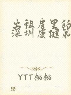 出租房里的交互深圳康健第二部