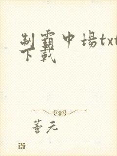 制霸中场txt下载