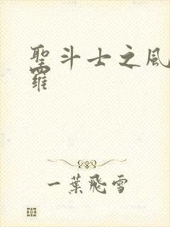 圣斗士之风舞娑罗