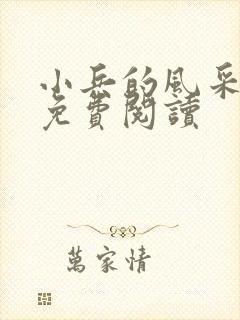 小兵的风采小说免费阅读