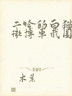 二哈的白猫师尊微博车截图