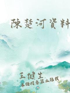 陈楚河资料