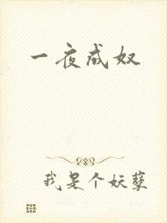 一夜成奴