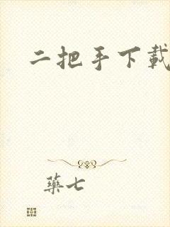 二把手下载