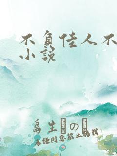 不负佳人不负卿小说