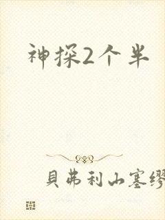 神探2个半