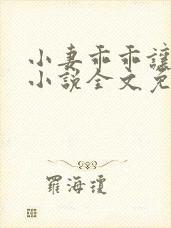 小妻乖乖让我宠小说全文免费阅读