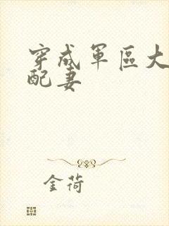 穿成军区大佬女配妻