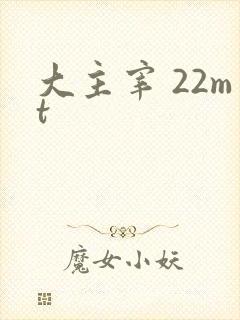 大主宰 22mt