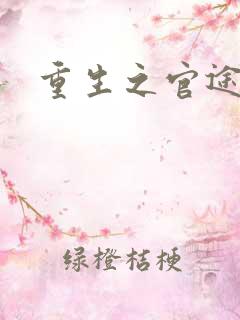 重生之官途辉煌