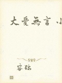 大爱无言 小说