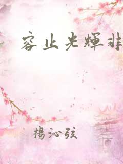 容止光辉非世人