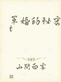 军婚的秘密txt