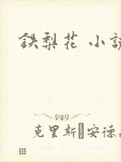 铁梨花 小说